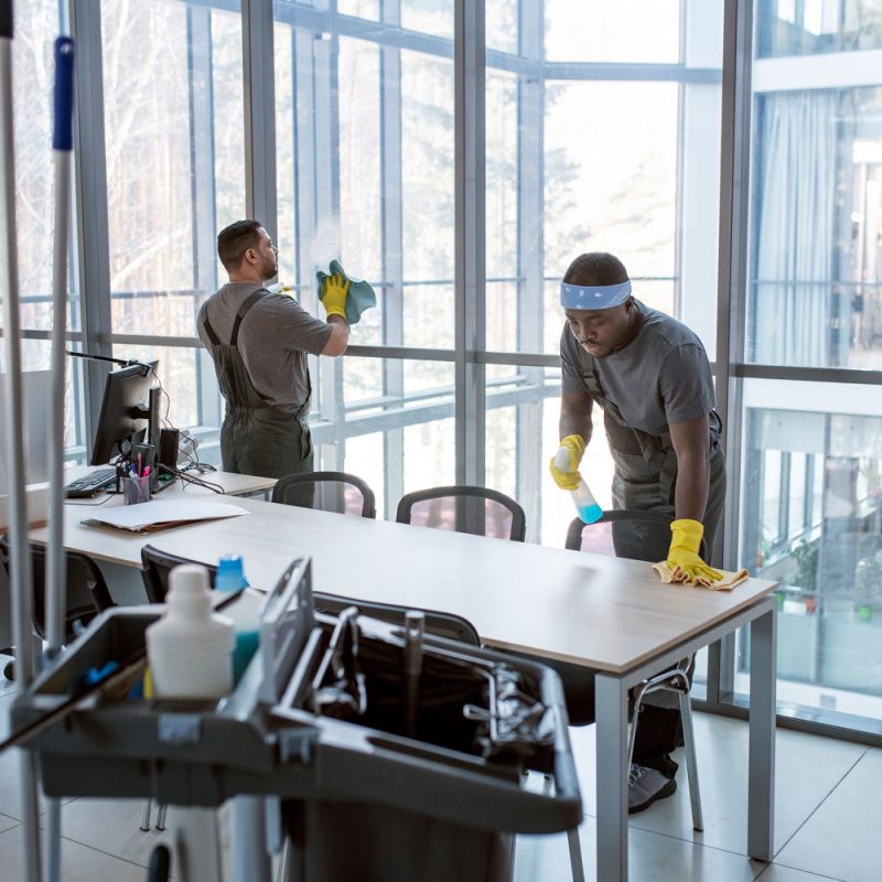 nettoyage de bureaux Services à la personne et aux professionnels Bons-en-Chablais - Chablais SAP